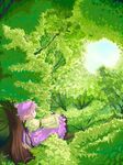  forest in_tree mystia_lorelei nanami_sano nature scenery sitting sitting_in_tree solo touhou tree 