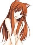  animal_ears holo long_hair nude ribi solo spice_and_wolf wolf_ears 