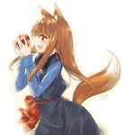  animal_ears apple food fruit holding holding_food holding_fruit holo kawakami_shuuichi long_hair solo spice_and_wolf tail wolf_ears 