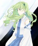  blue_skirt detached_sleeves frog_hair_ornament green_hair hair_ornament hair_tubes kochiya_sanae long_hair long_sleeves looking_away skirt skirt_set snake solo touhou umishima_senbon yellow_eyes 