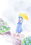  barefoot blue_hair cirno dutch_angle flower hydrangea rain raincoat sakaki_soshi solo teruterubouzu touhou umbrella wings 