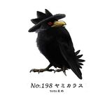  murkrow no_humans pokemon pokemon_(creature) realistic red_eyes solo toto_mame 