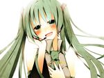  bad_id bad_pixiv_id blush detached_sleeves green_eyes green_hair hatsune_miku headphones headset long_hair necktie portrait smile solo temari_(deae) twintails vocaloid 