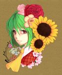  ascot cherry_blossoms colorized flower green_hair hounetto_(hornet96) kamata_yuuya kazami_yuuka pink_flower pink_rose plaid plaid_vest portrait red_eyes red_flower red_rose rose short_hair simple_background solo sunflower touhou vest 