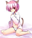  animal_ears cat_ears matsuzaki_yutaka open_clothes open_shirt original panties shirt solo tail underwear 