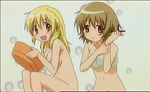  bath hidamari_sketch miyako nude yuno 