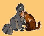 2019 akamai_(maligaytor) ambiguous_gender black_nose brown_body brown_fur canid canine canis circle_eyebrows digital_drawing_(artwork) digital_media_(artwork) digitigrade domestic_dog duo ears_back ears_down eyebrows eyes_closed eze_(ezekeil42) fangs feral feral_with_hair flat_colors full-length_portrait fur green_eyes grey_body grey_fur grey_hair grey_nose hair headbutt hi_res husky hybrid jackal maligaytor mammal maned_wolf markings nordic_sled_dog nuzzling outline pivoted_ears portrait romantic romantic_couple simple_background sitting smile snout spitz striped_markings striped_tail stripes tail tail_markings tan_body tan_fur teeth white_outline yellow_background