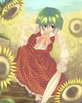  artist_request ascot closed_umbrella flower green_hair hand_on_hip kazami_yuuka leaning_forward long_skirt parasol plaid plaid_skirt plaid_vest red_eyes red_skirt short_hair skirt skirt_set smile solo sunflower touhou umbrella vest 