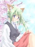  animal_ears blue_eyes copyright_request green_hair ponytail soba_(saz) solo 