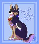 2019 absurd_res all_dogs_go_to_heaven ambiguous_gender black_body black_fur black_nose blue_background blue_text brown_body brown_eyebrows brown_fur canid canine canis cel_shading circle_eyebrows countershade_fur countershading digital_drawing_(artwork) digital_media_(artwork) digitigrade dogbomb domestic_dog don_bluth english_text eyebrows eyes_closed feral full-length_portrait fur hi_res lei lyrics male_(lore) maligaytor mammal open_mouth open_smile paws portrait shaded simple_background sitting smile snout solo tail teeth text tongue tongue_out watermark white_body white_countershading white_fur