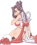  ass black_eyes breasts fatal_fury from_behind grey_hair huge_breasts kenix long_hair looking_back panties ponytail red_panties revealing_clothes rope shiranui_mai sideboob sitting snk solo the_king_of_fighters thong underwear wristband 