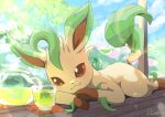  brown_eyes closed_mouth cloud commentary_request cup day glass leafeon lying no_humans oooise pokemon pokemon_(creature) signature sky smile solo teapot 