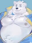 2024 anthro band-aid bandage belly big_belly black_nose blue_background canid canine canis domestic_dog fur kemono lifewonders live_a_hero male mammal moobs nipples overweight overweight_male salz_sop simple_background solo white_body white_fur yohack