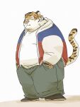 2024 anthro belly blush bottomwear clothing cute_fangs felid hi_res kemono male mammal overweight overweight_male pantherine pants pink_nose pommn_mn shirt simple_background solo tiger topwear white_background