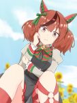  1girl animal_ears black_dress blurry bow bowtie brown_hair depth_of_field dress dutch_angle ear_covers flower funamori green_bow hair_bow highres horse_ears horse_girl juliet_sleeves long_sleeves looking_at_viewer multicolored_hair nice_nature_(umamusume) pinafore_dress puffy_sleeves sleeveless sleeveless_dress solo streaked_hair sunflower twintails umamusume 