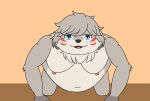 animated anthro belly canid canine chubby_male drreverb fur grey_body grey_fur hi_res hozuki_creha male mammal navel nipples nude overweight overweight_male simple_background smile solo