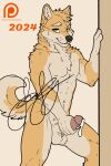 anthro balls bodily_fluids canid canine canis cum domestic_dog erection franklyfurry fur genital_fluids genitals hair hi_res looking_at_viewer male mammal nipples nude penis shiba_inu simple_background smile solo spitz tail ych_(character)