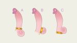  cock_ring large_penis original penis sex_toy tailbox variations 