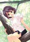  black_hair copyright_request in_tree matsumoto_noriyuki nature shirt short_hair sitting sitting_in_tree solo tree 