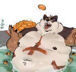 belly bhm big_belly bodily_fluids cleaved_vn eating food hi_res hot_spring invalid_tag male overweight overweight_male skjold_cleaved sweat sweaty_belly water