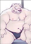 2024 anthro asian_clothing bear belly clothing east_asian_clothing facial_hair fundoshi hi_res humanoid_hands japanese_clothing kemono male mammal mature_male moobs mustache navel nipples overweight overweight_male polar_bear sitting solo underwear ursine white_body yaoyasohachi