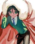  1boy black_hair blue_necktie brown_pants cape closed_mouth collared_shirt fate_(series) fur-trimmed_cape fur_trim green_eyes green_sweater hair_between_eyes highres holding holding_cape holding_clothes long_sleeves looking_at_viewer male_focus necktie pants red_cape shirt smile solo sweater tokoni_fusu waver_velvet white_background white_shirt 
