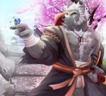 2024 5_fingers abs anthro arm_wraps arthropod asian_clothing black_eyebrows black_nose blind_eye body_hair butterfly canid canine canis cherry_blossom chest_hair chest_scar claws clothing colored day detailed_background east_asian_clothing eye_scar eyebrows facial_scar fingers fundoshi fur grey_body grey_fur grey_nipples hair hat headgear headwear hi_res humanoid_hands inner_ear_fluff insect japanese_clothing katana kimono lepidopteran male mammal manothesea melee_weapon morihiko muscular muscular_anthro muscular_male muscular_thighs nipples pawpads pecs plant samurai scar signature solo sword thick_eyebrows tuft underwear warrior weapon white_hair wolf wraps