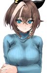  1girl absurdres animal_ears blue_eyes breasts brown_hair cheval_grand_(umamusume) commentary_request ear_covers hair_between_eyes highres horse_ears horse_girl looking_at_viewer multicolored_hair shirt simple_background solo streaked_hair sweater toa510 turtleneck turtleneck_sweater umamusume white_hair 