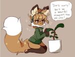 accessory anthro averi_(fiddleafox) brown_body brown_eyes brown_fur canid canine clothing dipstick_tail english_text female female_anthro fiddleafox fox fur gloves_(marking) green_clothing hair headband holding_object kneeling leg_markings looking_at_object mammal markings pawpads paws plant plant_pot potted_plant simple_background socks_(marking) solo tail tail_markings text white_body white_fur