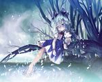  artist_request barefoot blue_bow blue_dress blue_eyes blue_hair bow branch cirno dress hair_bow night night_sky outdoors puffy_short_sleeves puffy_sleeves short_hair short_sleeves sitting sky soaking_feet solo touhou water wrist_cuffs 