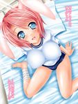  animal_ears barefoot blue_eyes breasts bunny_ears buruma gym_uniform happy kizaki_yuuri large_breasts original pink_hair short_hair sitting smile solo translated 