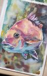  animal animal_focus fish looking_at_viewer no_humans original painting_(medium) photo_(medium) realistic shibakaka still_life traditional_media watercolor_(medium) 