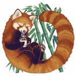  ailurid ambiguous_gender bamboo beverage coffee eyes_closed faellin feral inner_ear_fluff long_tail mammal pawpads red_panda smile solo 