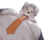  1boy animal_ears bara bear_boy bear_ears belly blush covered_nipples fangs foreshortening formal from_below furry furry_male highres large_pectorals looking_at_viewer looking_down male_focus meme mikky mole mole_under_eye necktie nipples open_mouth original pectoral_focus pectorals photo-referenced plump short_hair solo thick_eyebrows upper_body white_fur yur_oc_like_this_(meme) 
