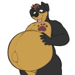 belly big_belly canid canine canis cudacore devan_(character) dobermann domestic_dog hi_res male mammal navel outie_navel pinscher pregnant pregnant_male