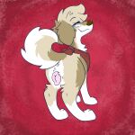 anatomically_correct bandanna blue_eyes canid canine canis domestic_dog female feral fur genitals hi_res kerchief looking_back mammal plump_labia presenting pussy smile smirk solo tan_body tan_fur vixeyhuskybutt_(artist)
