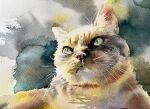  animal animal_focus cat highres looking_at_viewer no_humans original painting_(medium) realistic shibakaka still_life traditional_media watercolor_(medium) 