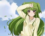  cloud day green_hair inukami! jewelry long_hair necklace outdoors red_eyes sky smile solo tomooka_shinpei youko_(inukami) 