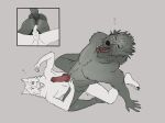 anal anal_penetration animal_genitalia animal_penis anthro anus blaidd_(elden_ring) butt butt_focus canid canine canine_genitalia canine_penis canis chest_tuft cowgirl_position duo elden_ring from_front_position fromsoftware fur genitals grey_body grey_fur heart_symbol hi_res knot looking_pleasured male male/male male_penetrated male_penetrating male_penetrating_anthro male_penetrating_male mammal muscular navel nipples on_bottom on_top open_mouth organs penetration penile penile_penetration penis purple_eyes raised_tail redwulf24 riding riding_cock scar sex sheath simple_background sitting_on_another spread_legs spreading stomach tail teeth tongue tuft vein veiny_penis wolf ych_(character)