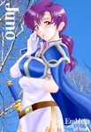  armor cape character_name copyright_name fire_emblem fire_emblem:_fuuin_no_tsurugi gloves hissaa_(starlight_express) long_hair ponytail purple_eyes purple_hair solo sword weapon yuno_(fire_emblem) 