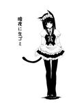  animal_ears blush cat_ears copyright_request ganges_gawa greyscale maid monochrome pantyhose solo 