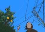  1girl alleyropolis black_coat branch brown_scarf coat commentary day food from_below fruit highres lamppost leaf orange_(fruit) orange_tree original outdoors scarf sky smile solo tree utility_pole wire 