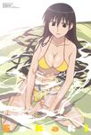  azumanga_daiou bikini breasts cleavage duplicate ishihama_masashi large_breasts long_hair sakaki side-tie_bikini solo swimsuit water 