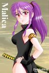  ass character_name copyright_name fire_emblem fire_emblem:_seima_no_kouseki gloves hissaa_(starlight_express) katana marica_(fire_emblem) pink_eyes ponytail purple_hair side_slit solo sword weapon 