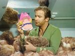  crossover james_kirk james_tiberius_kirk parody potemayo star_trek tribble 