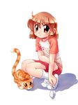  brown_hair cat original raglan_sleeves short_hair socks zan_nekotama 