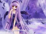  angel_ring_(artbook) brown_eyes chair feathers gothic panties purple_hair see-through solo tinker_bell underwear wallpaper 