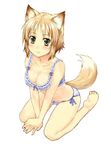  amagai_tarou animal_ears barefoot blonde_hair blush bra breasts cleavage feet fox_ears fox_tail jpeg_artifacts lace lace-trimmed_bra light_smile lingerie looking_at_viewer medium_breasts original panties ribbon-trimmed_bra short_hair side-tie_panties simple_background sitting solo tail underwear underwear_only v_arms wariza white_background yellow_eyes 
