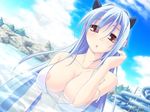  akinoko animal_ears bikini blue_hair breasts cat_ears day dutch_angle game_cg large_breasts long_hair luna_(luna_sora) luna_sora nipple_slip nipples red_eyes solo swimsuit wardrobe_malfunction water 