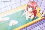  absurdres bath bathing highres kimi_ga_nozomu_eien nude suzumiya_haruka uncensored 